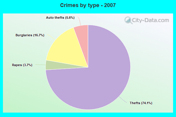 Crimes by type - 2007