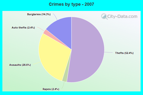 Crimes by type - 2007