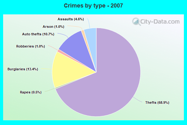 Crimes by type - 2007