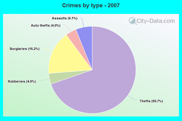 Crimes by type - 2007