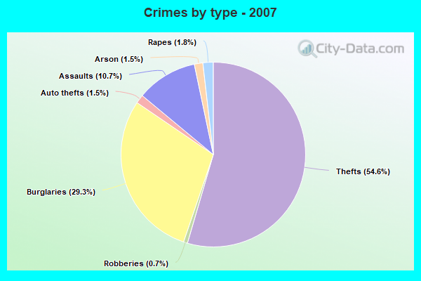 Crimes by type - 2007