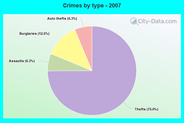 Crimes by type - 2007