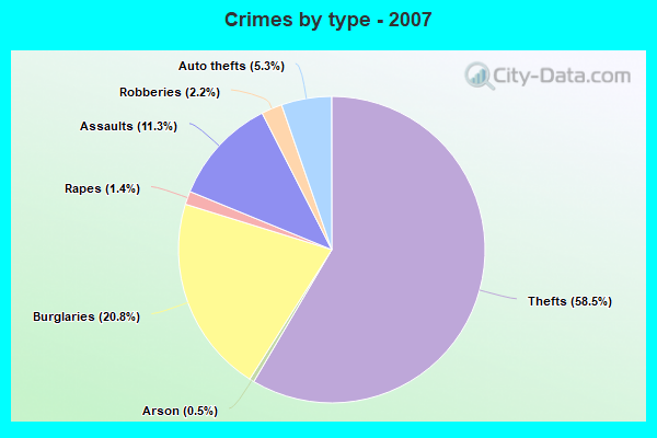 Crimes by type - 2007