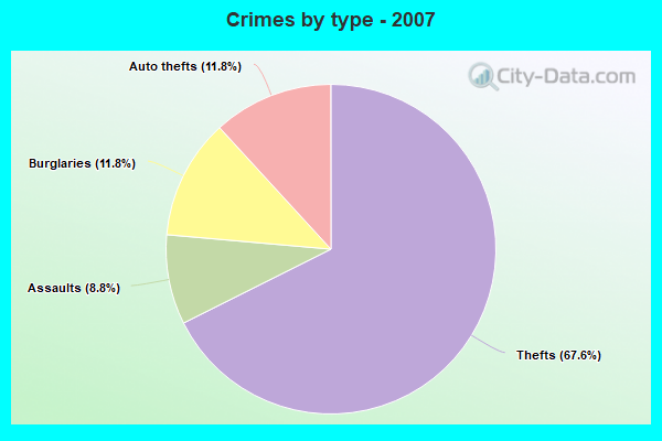 Crimes by type - 2007