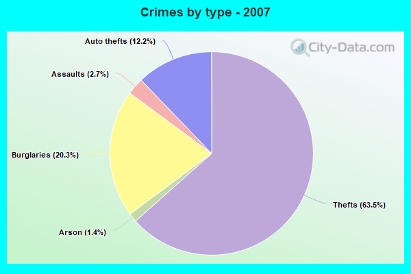 Crimes by type - 2007