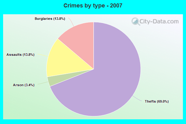 Crimes by type - 2007