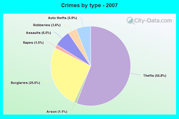 Crimes by type - 2007