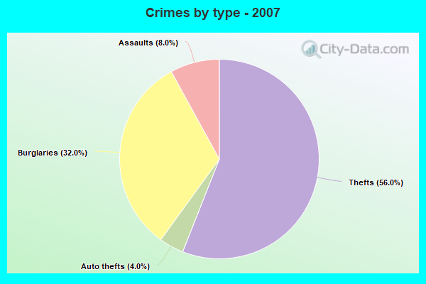 Crimes by type - 2007