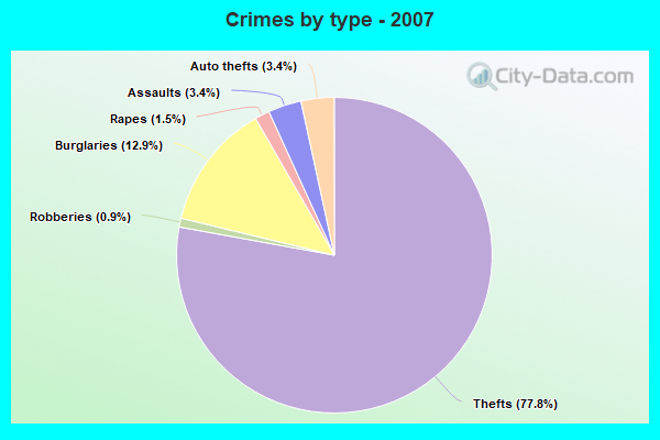 Crimes by type - 2007