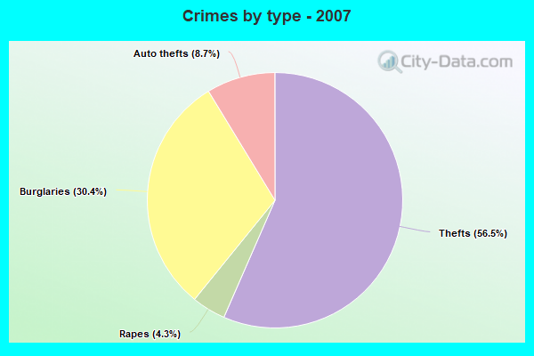 Crimes by type - 2007