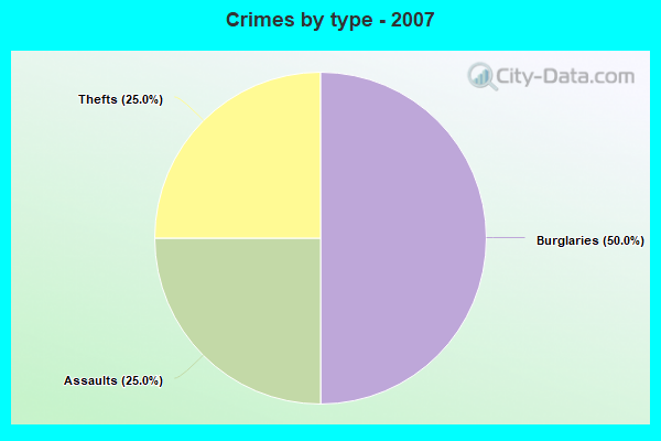 Crimes by type - 2007