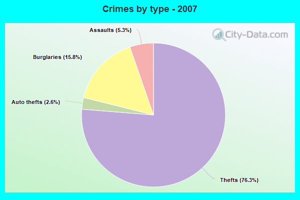 Crimes by type - 2007