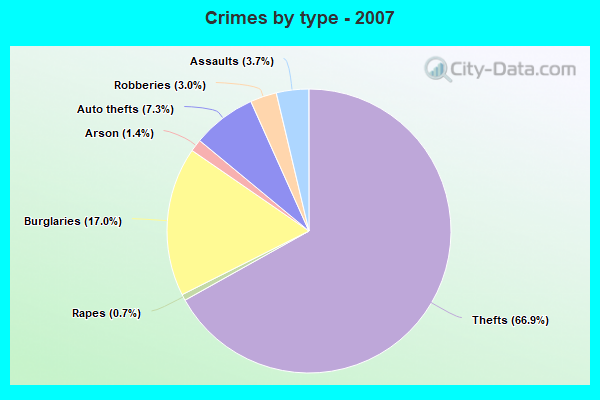 Crimes by type - 2007