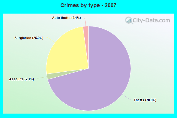 Crimes by type - 2007