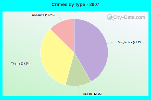 Crimes by type - 2007