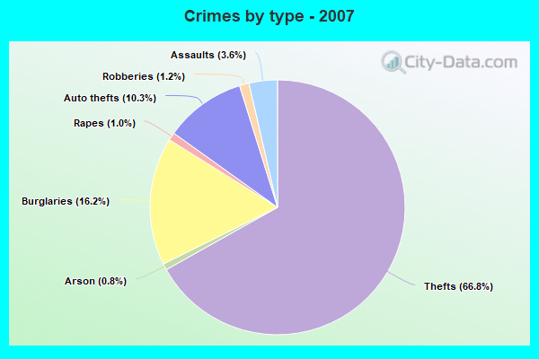 Crimes by type - 2007