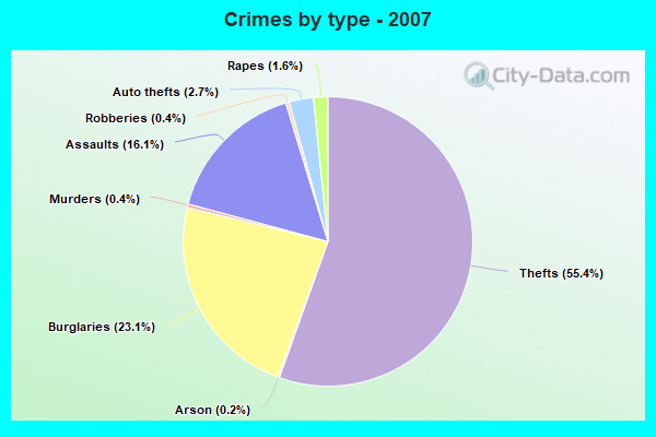 Crimes by type - 2007