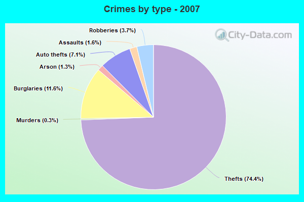 Crimes by type - 2007