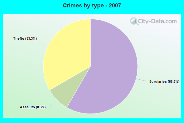 Crimes by type - 2007