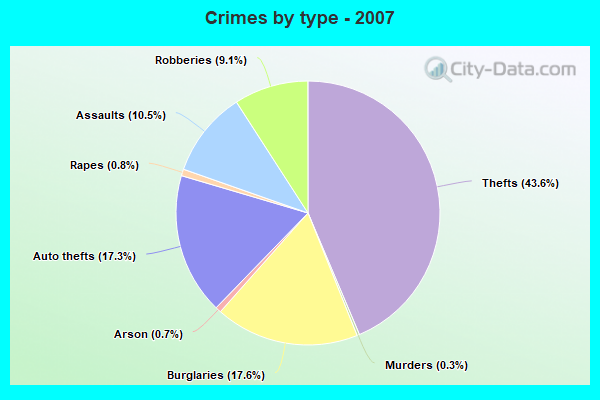 Crimes by type - 2007