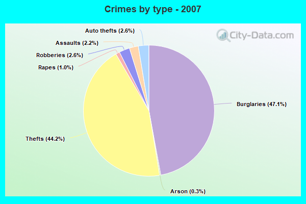 Crimes by type - 2007