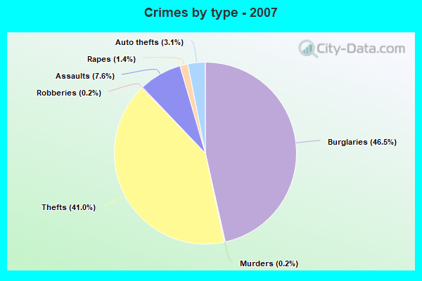 Crimes by type - 2007