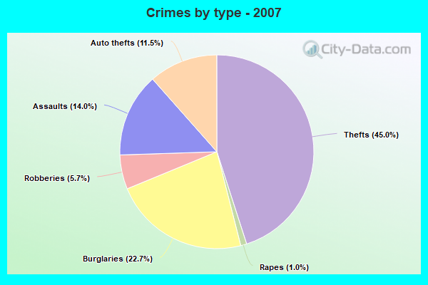 Crimes by type - 2007