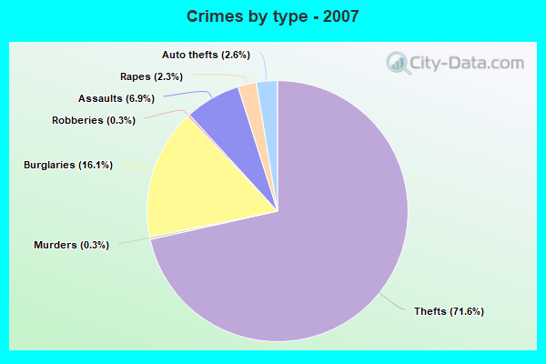 Crimes by type - 2007