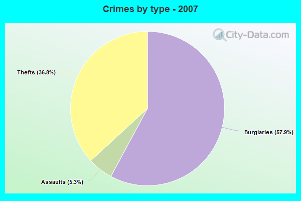 Crimes by type - 2007