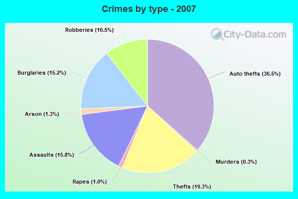 Crimes by type - 2007