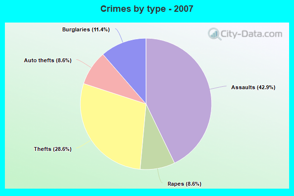 Crimes by type - 2007