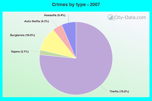 Crimes by type - 2007