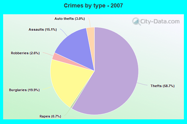 Crimes by type - 2007