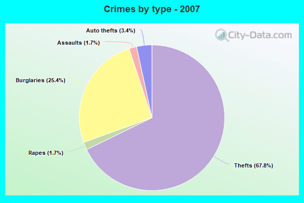 Crimes by type - 2007