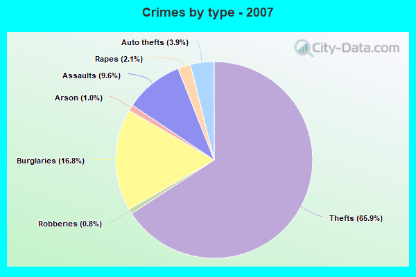 Crimes by type - 2007