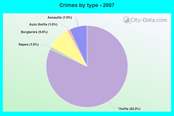 Crimes by type - 2007