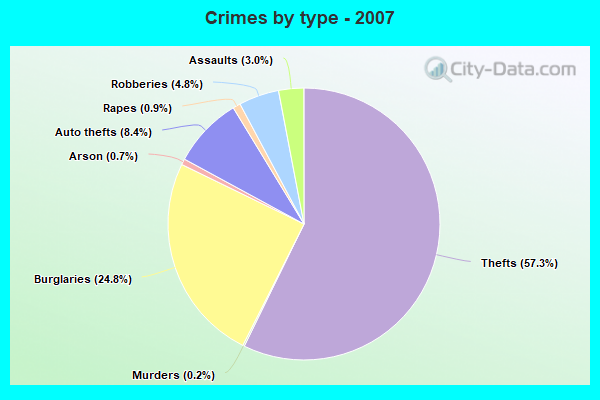 Crimes by type - 2007