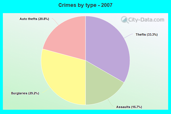 Crimes by type - 2007