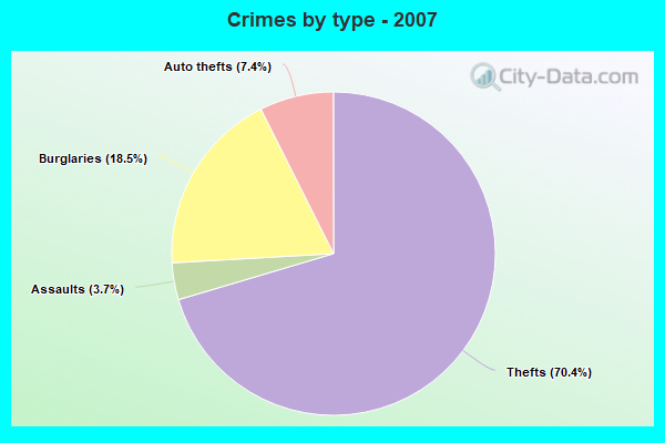 Crimes by type - 2007