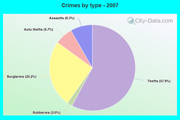 Crimes by type - 2007