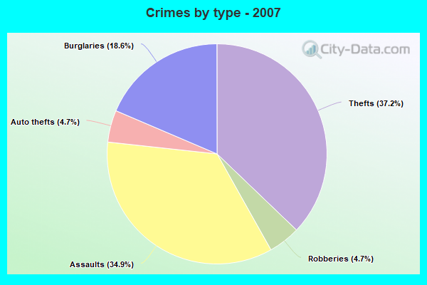 Crimes by type - 2007