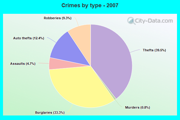 Crimes by type - 2007