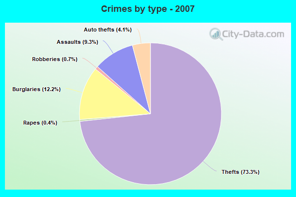 Crimes by type - 2007