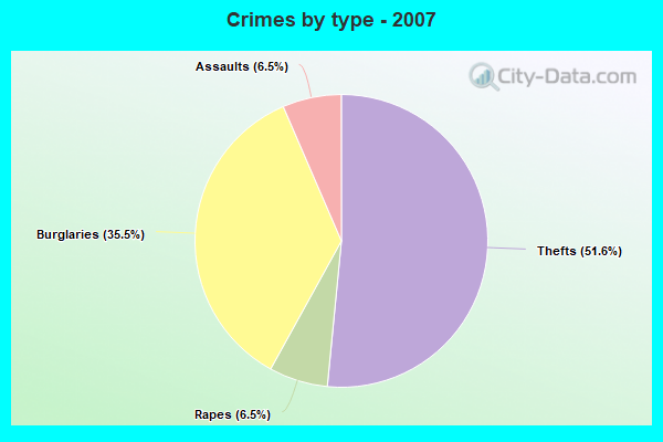 Crimes by type - 2007