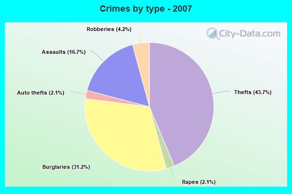 Crimes by type - 2007