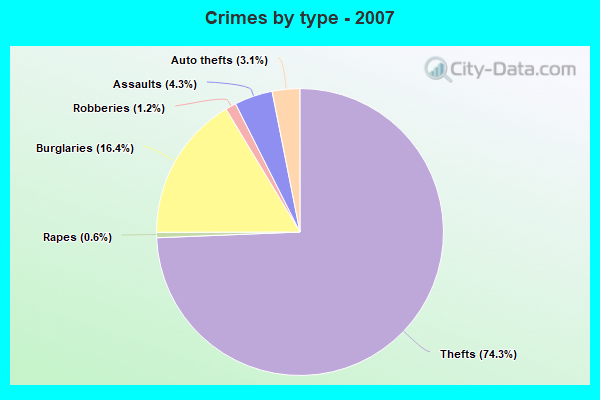 Crimes by type - 2007