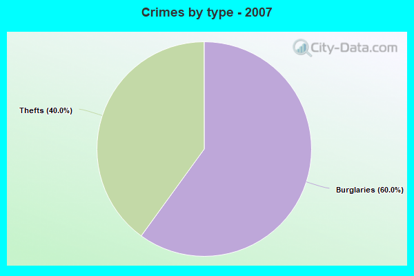 Crimes by type - 2007