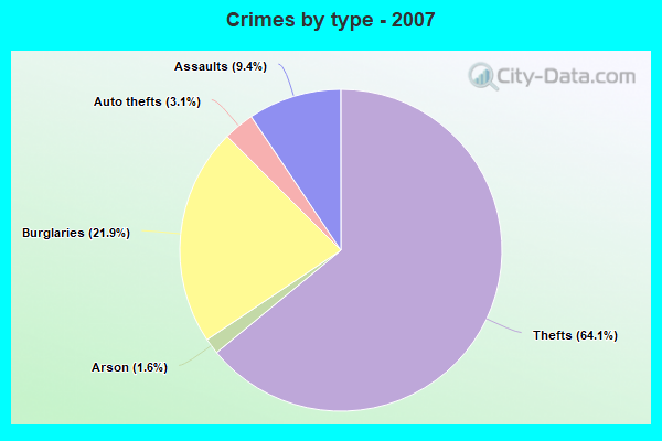 Crimes by type - 2007