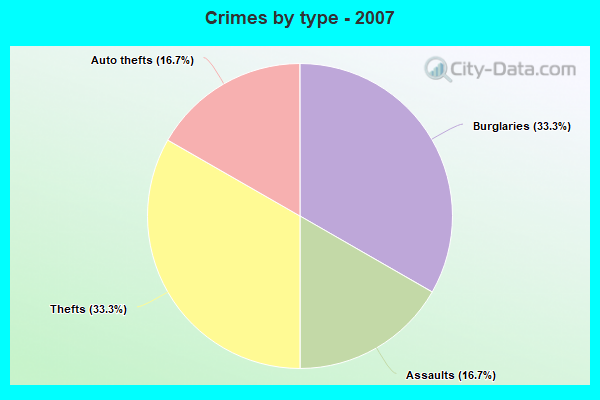 Crimes by type - 2007