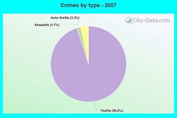 Crimes by type - 2007